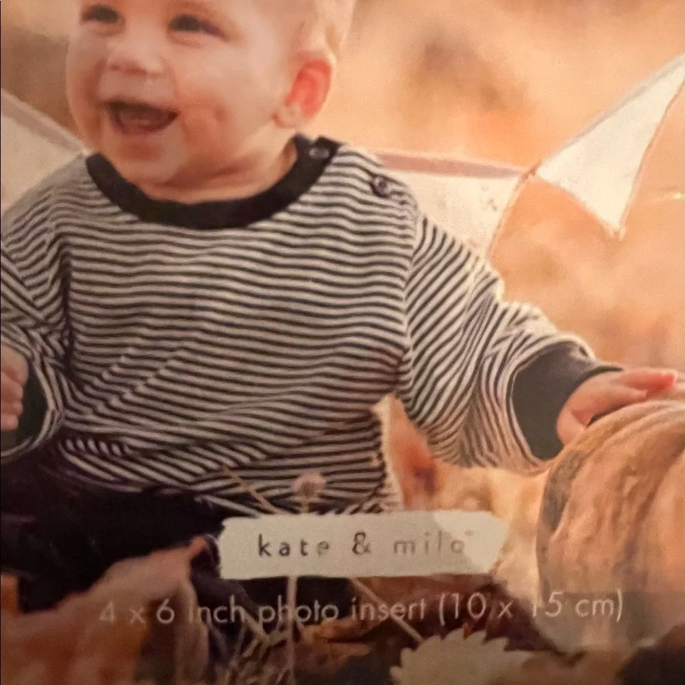 Pumpkin 🎃Cutest in the Patch🎃 Picture Frame